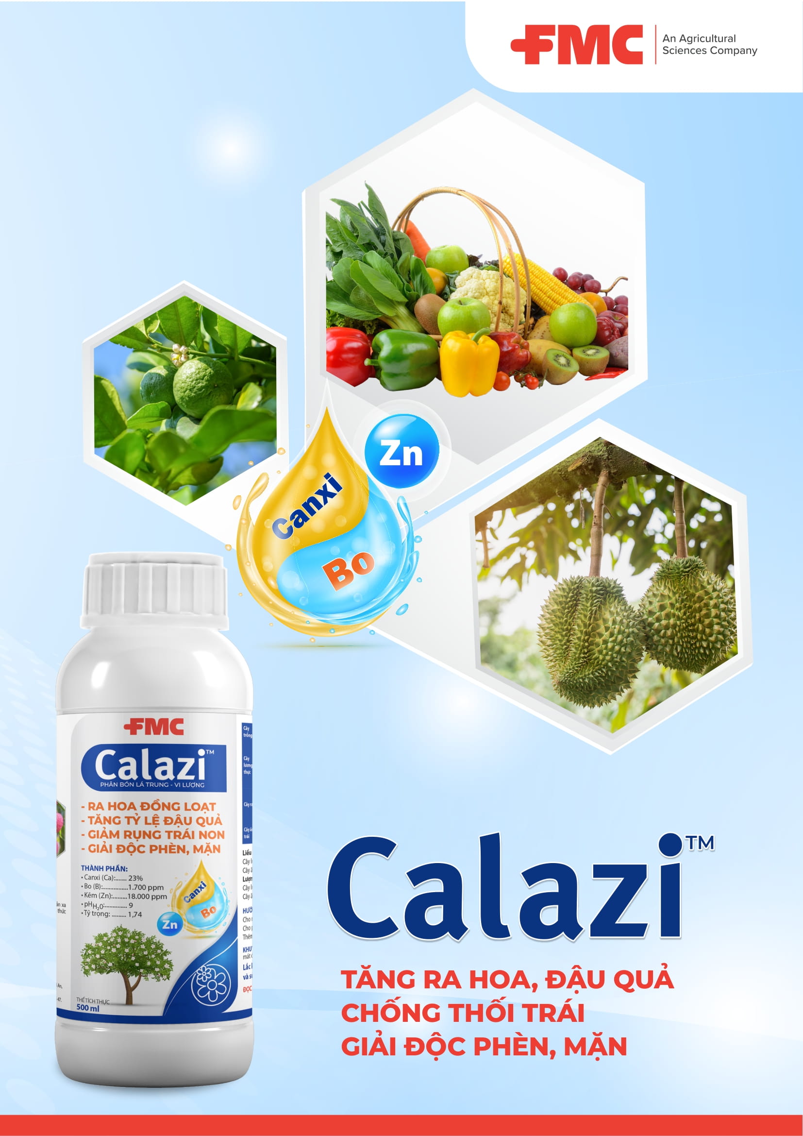 Calazi
