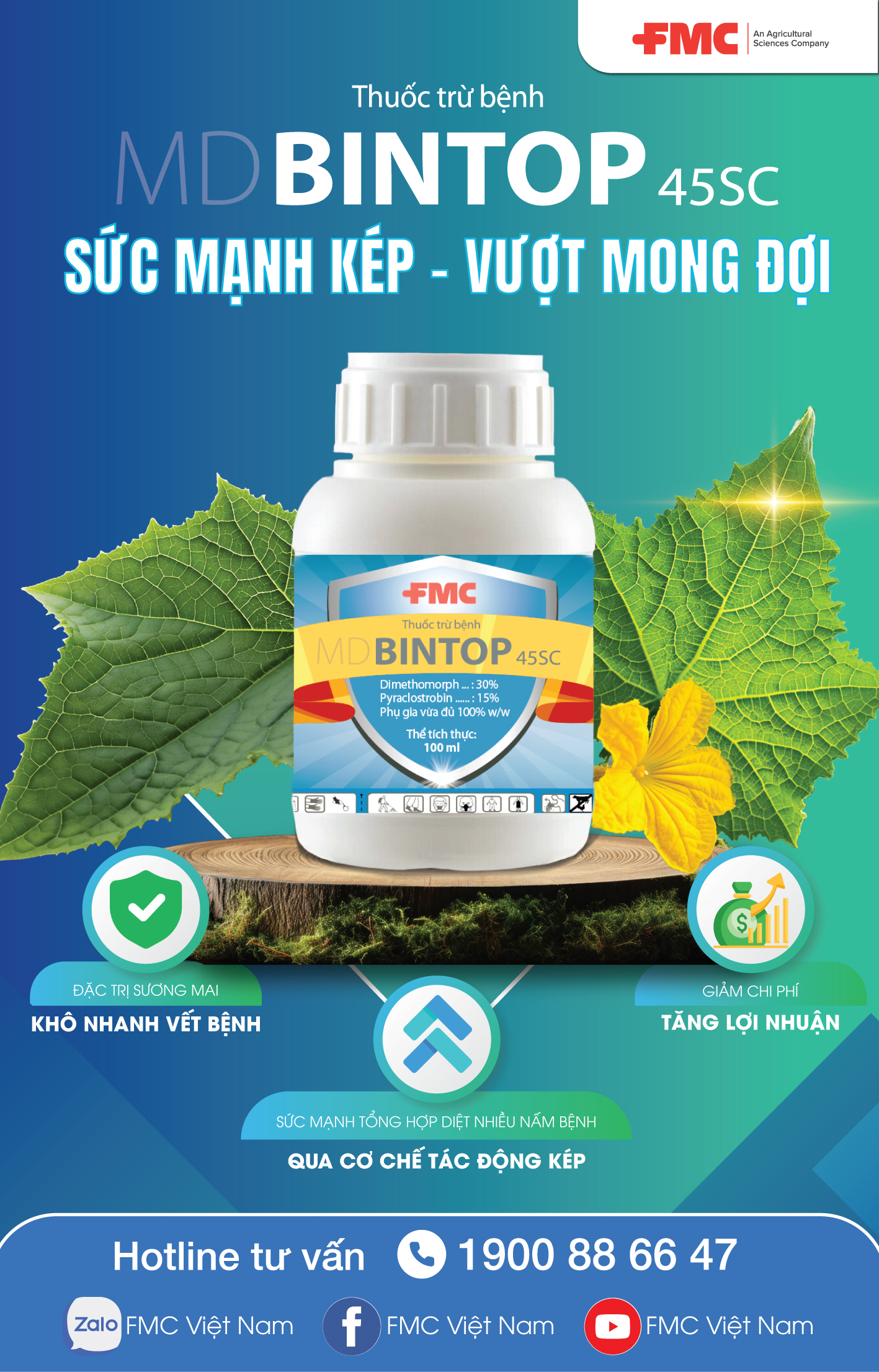 MDBintop