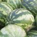 Watermelons